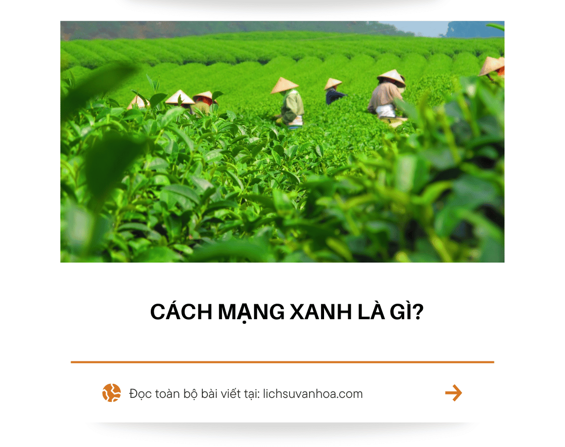 Cach Mang Xanh La Gi