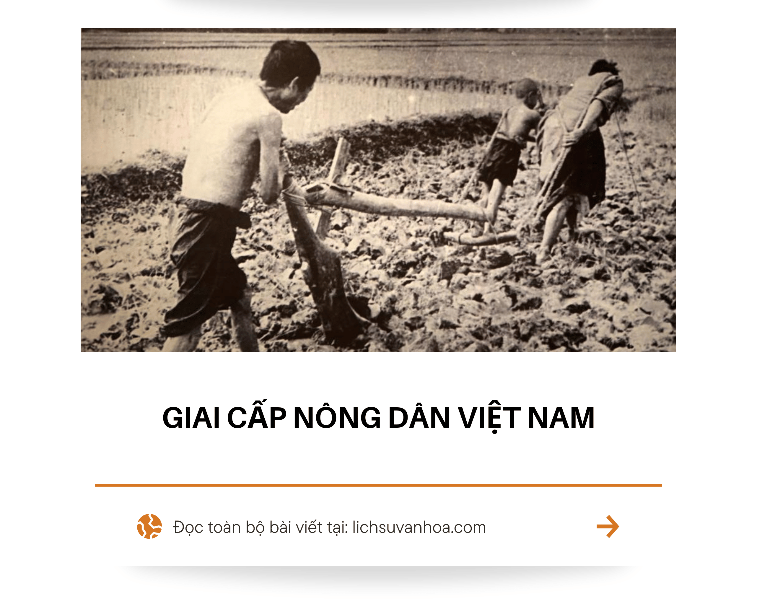 Giai Cap Nong Dan Viet Nam