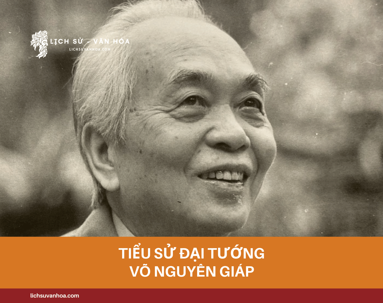 Tieu Su Dai Tuong Vo Nguyen Giap