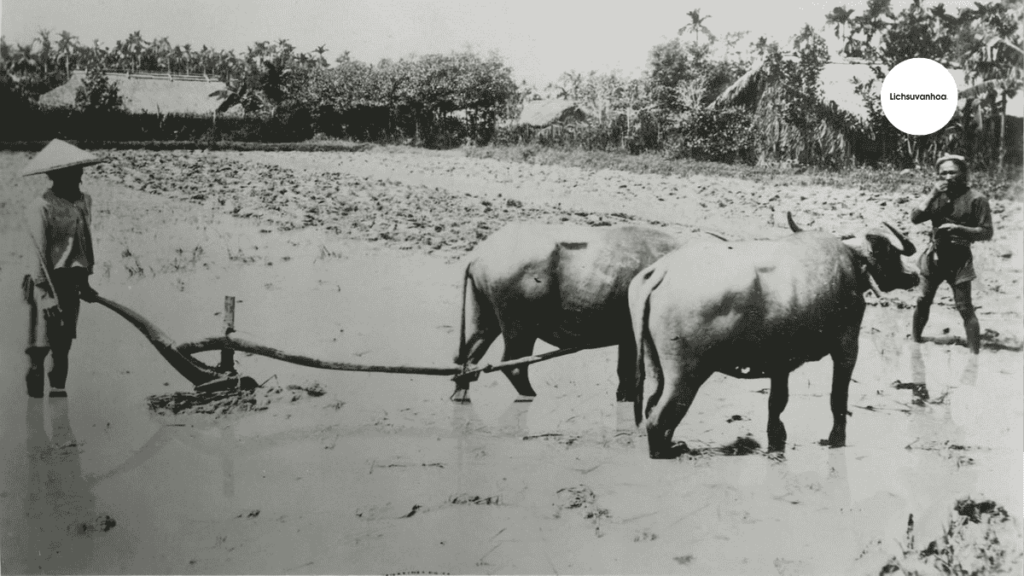 the nao la chinh sach ngu binh u nong 3